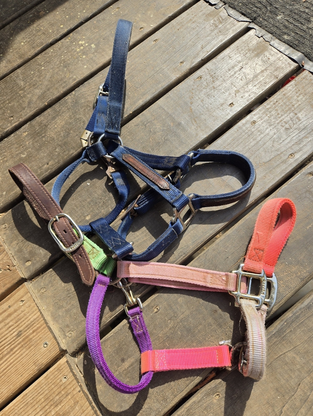 Perri's Breakaway Horse Halter & Hamilton Horse Halter W Leather Accents